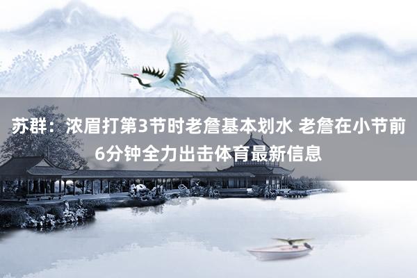 苏群：浓眉打第3节时老詹基本划水 老詹在小节前6分钟全力出击体育最新信息