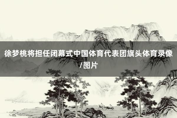 徐梦桃将担任闭幕式中国体育代表团旗头体育录像/图片