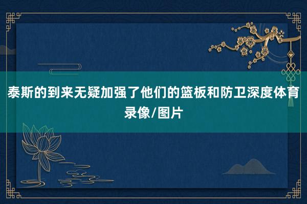 泰斯的到来无疑加强了他们的篮板和防卫深度体育录像/图片