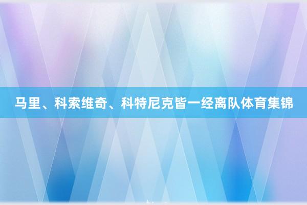 马里、科索维奇、科特尼克皆一经离队体育集锦