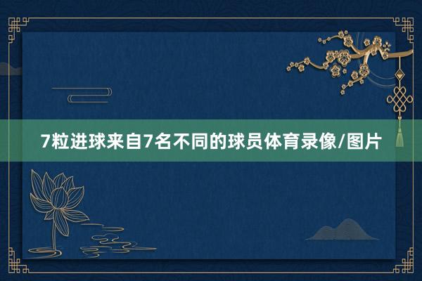 7粒进球来自7名不同的球员体育录像/图片