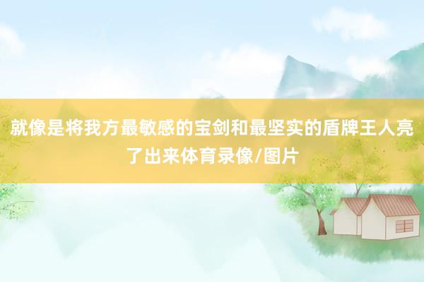 就像是将我方最敏感的宝剑和最坚实的盾牌王人亮了出来体育录像/图片