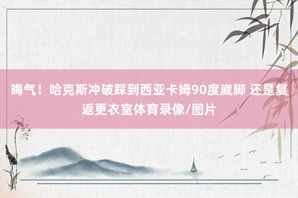 晦气！哈克斯冲破踩到西亚卡姆90度崴脚 还是复返更衣室体育录像/图片